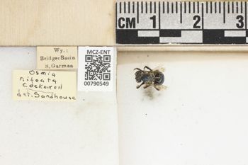Media type: image;   Entomology 790549 Aspect: Labels